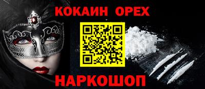 стаф Дубна