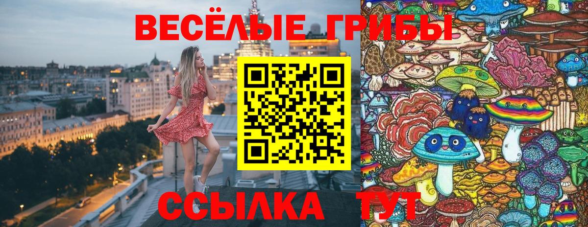 Галлюциногенные грибы прущие грибы  Вход с VPN  Псилоцибиновые грибы Magic Shrooms  Луховицы 