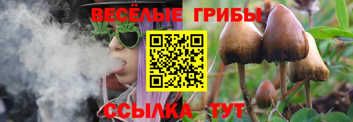 Галлюциногенные грибы Magic Shrooms Луховицы